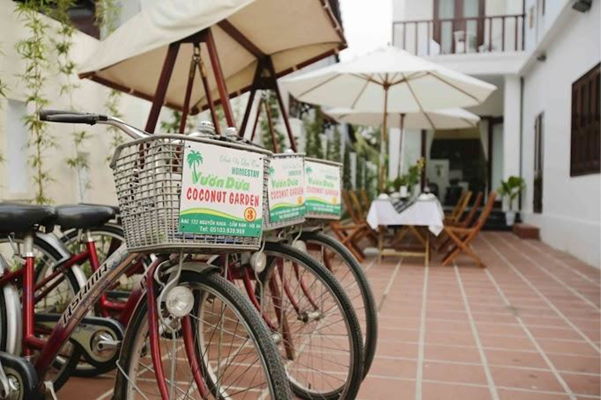 Coconut Garden Homestay Hoi An Luaran gambar